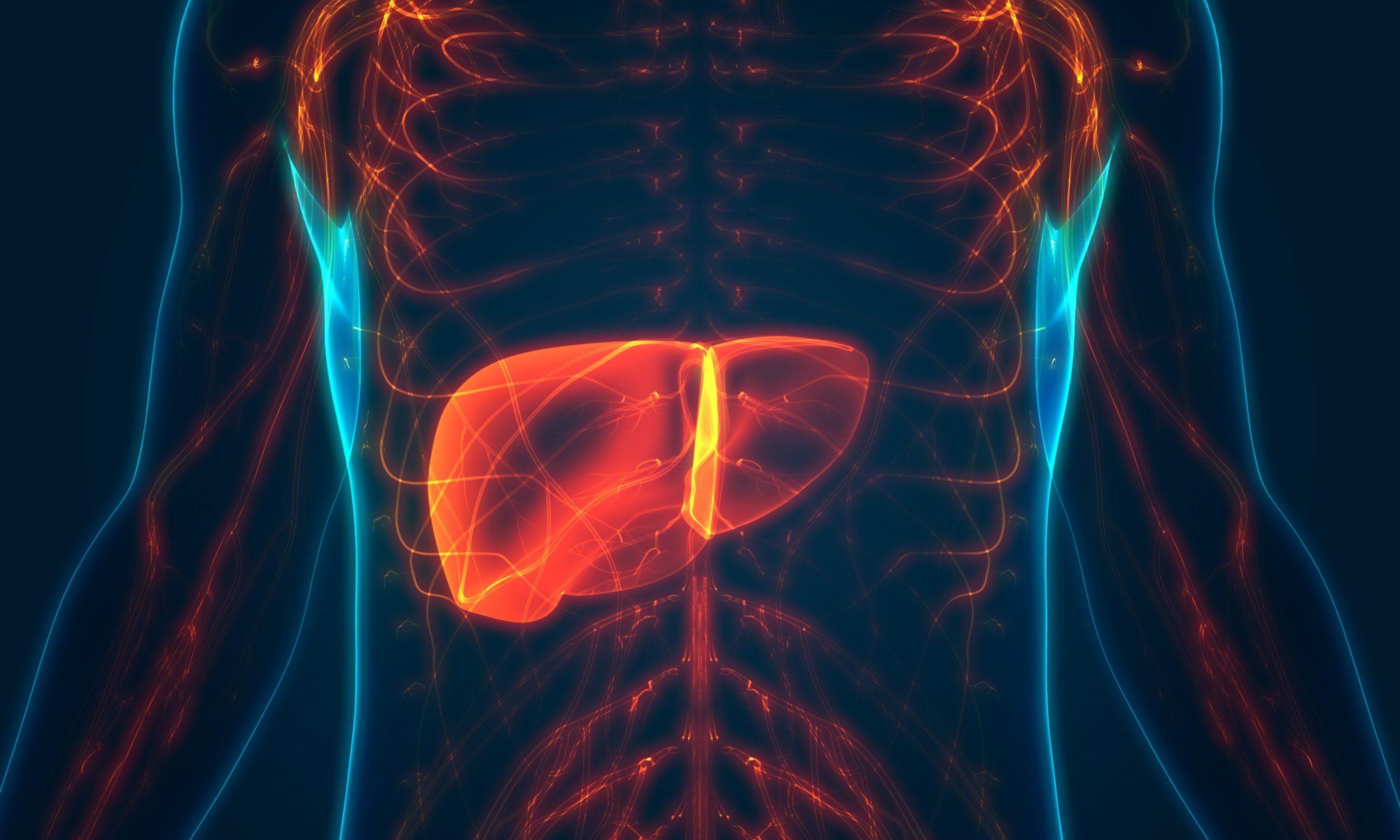 Types of liver transplant