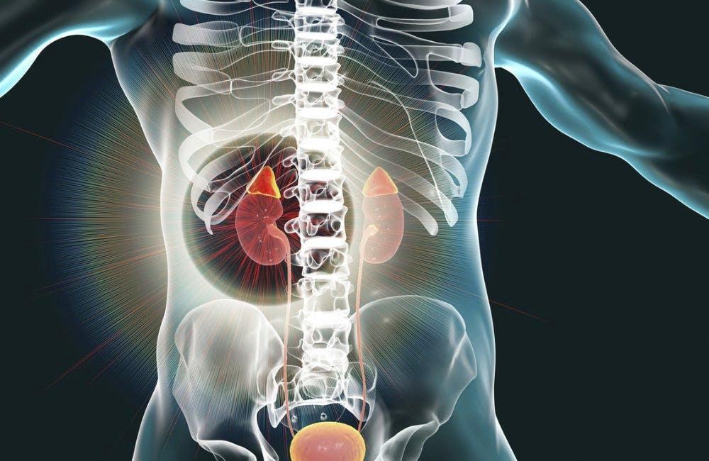 Combined Liver-Kidney Transplant (CLKT)