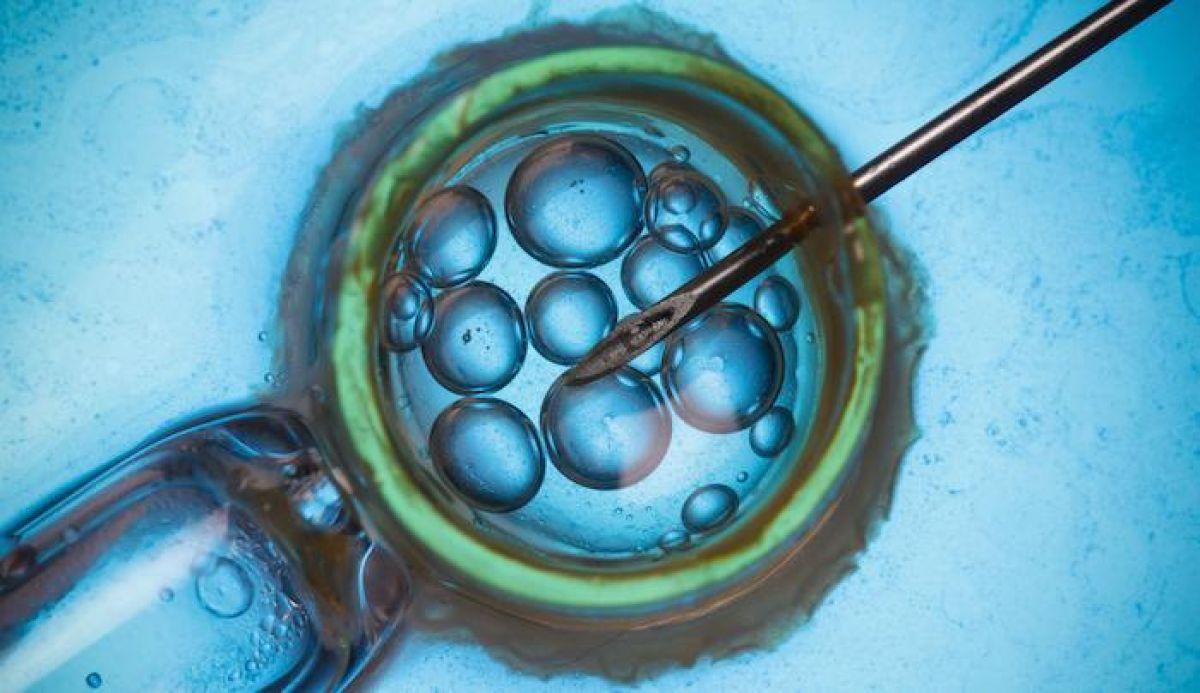 Best IVF centers in Iran