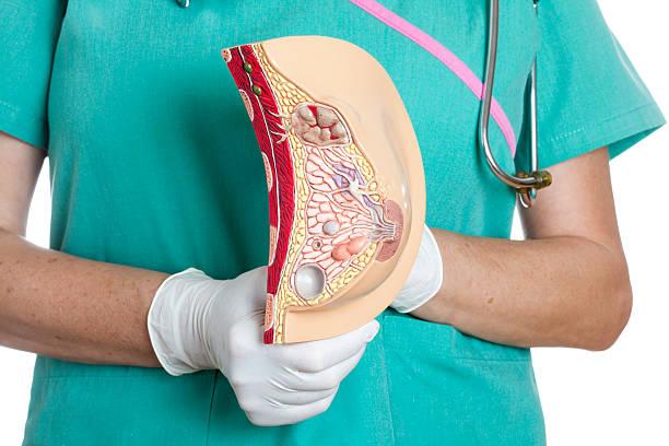 What Causes Chest Fat?