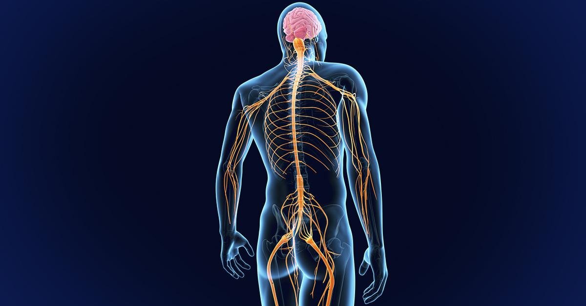 Peripheral Nerve Surgery