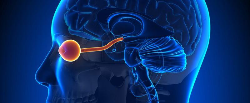 Neuro-ophthalmology