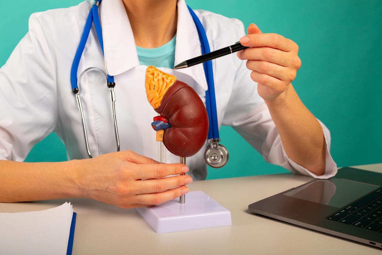 Diagnosis of Nephrological Diseases