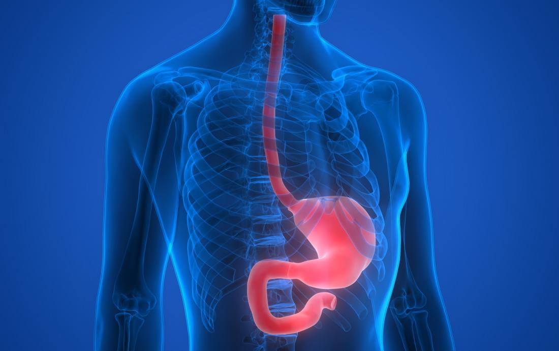 How to prepare for Esophagectomy?
