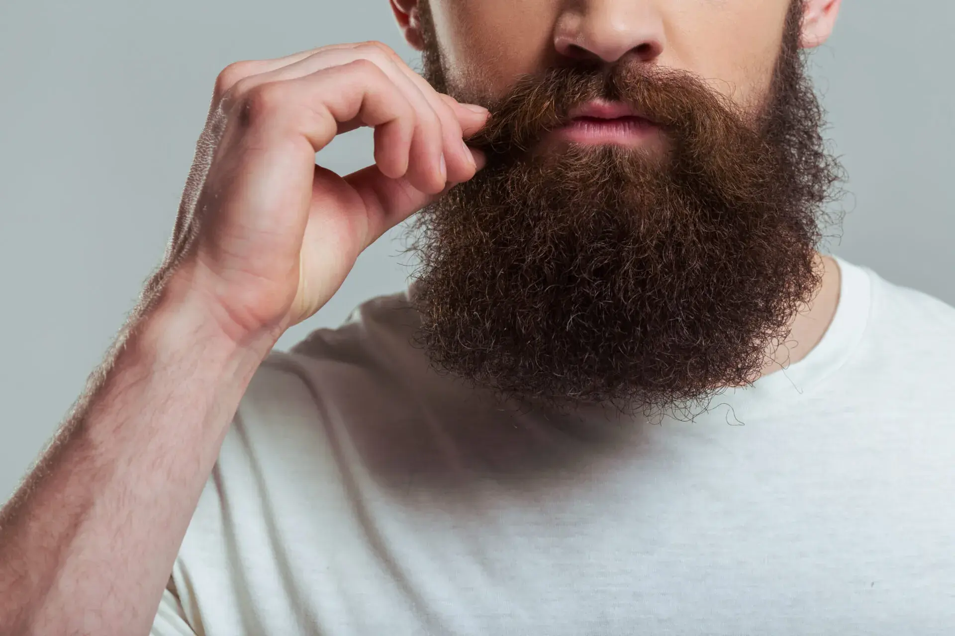 Beard Transplant