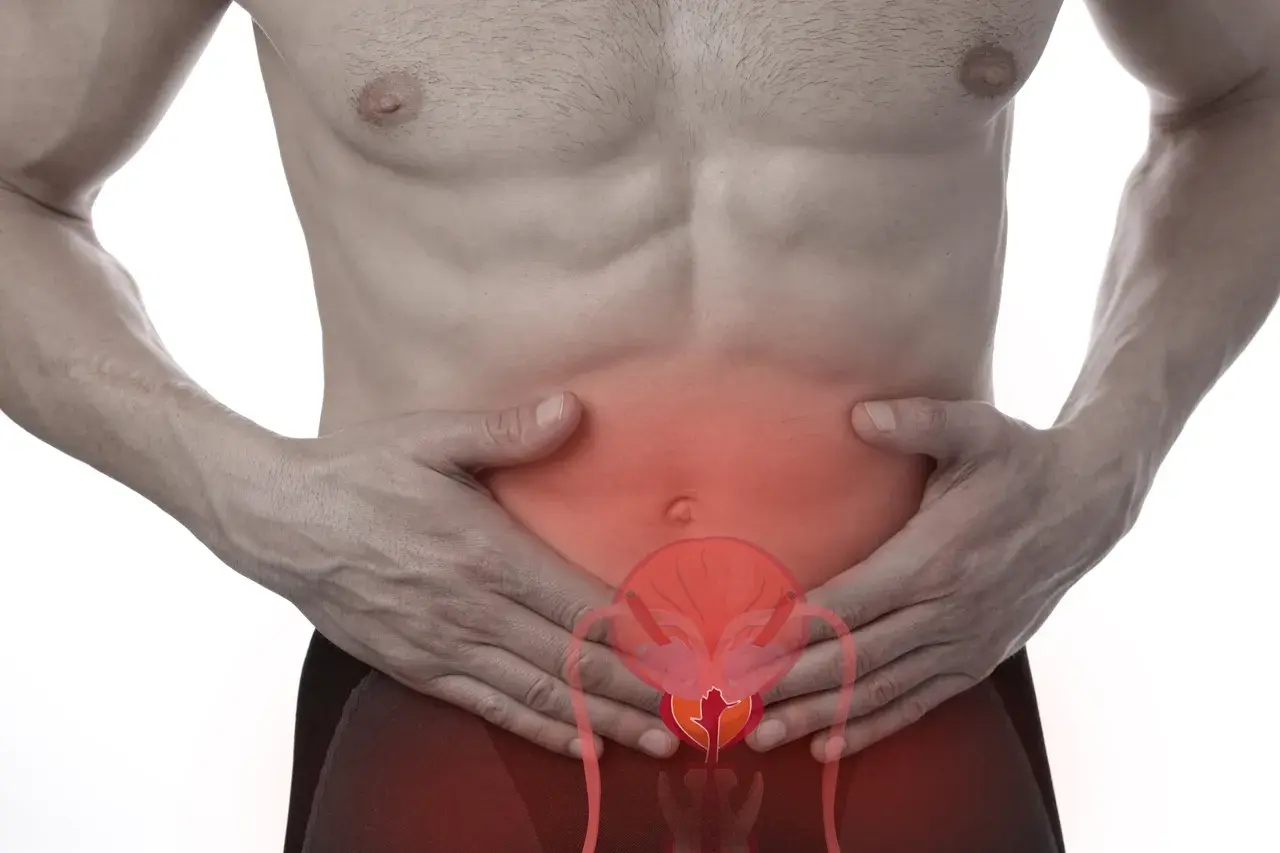 What are Urologic Diseases?