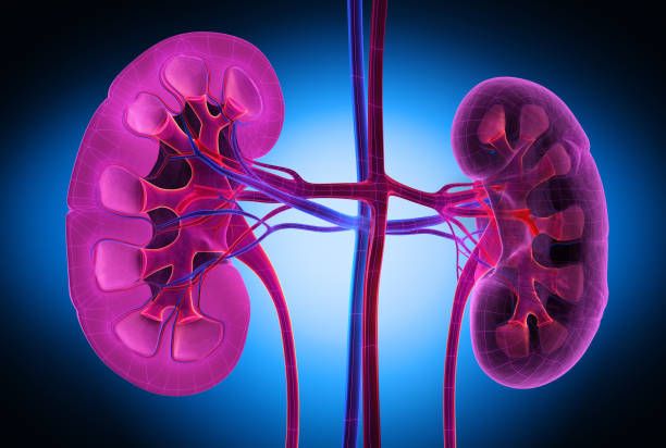 Signs of Kidney Transplant Rejection