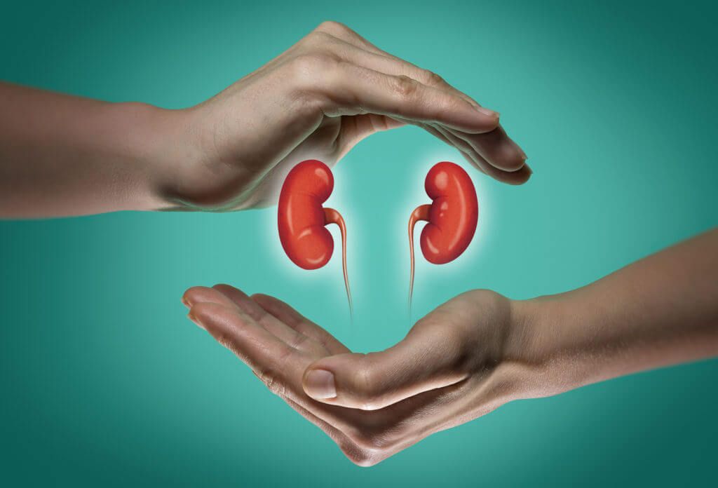 Signs of Kidney Transplant Rejection