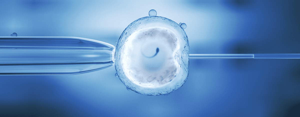 In Vitro Fertilization (IVF)