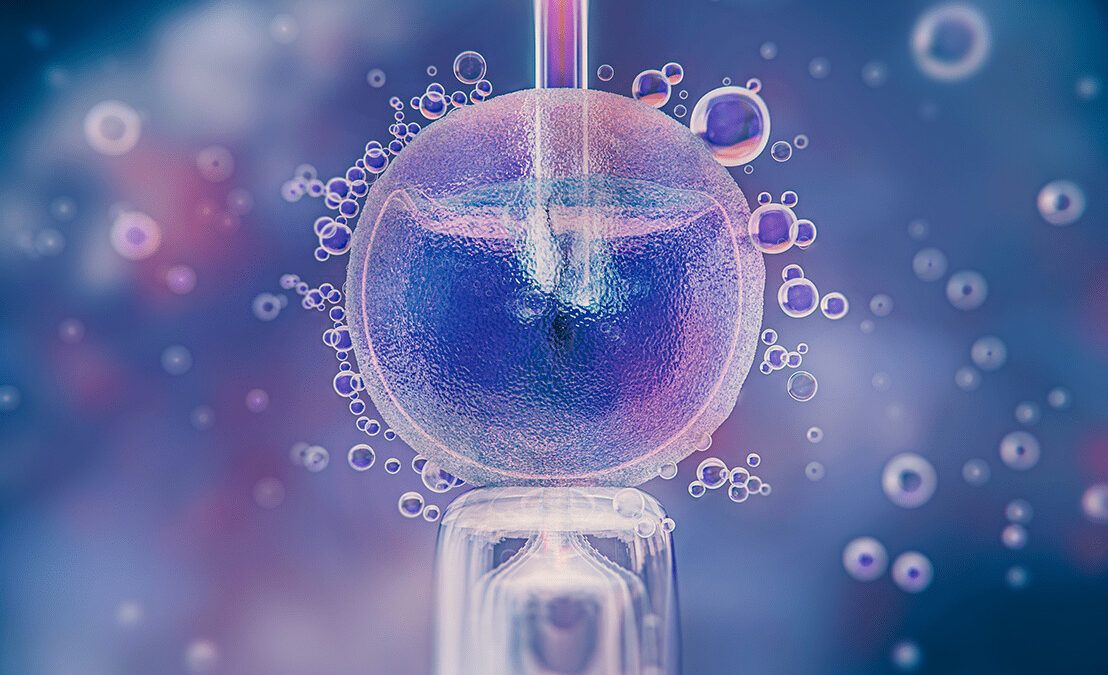 About in vitro fertilization (IVF)