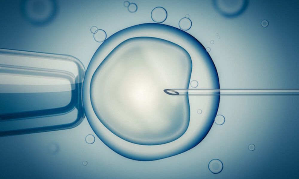 Is IVF Allowed in Iran? 