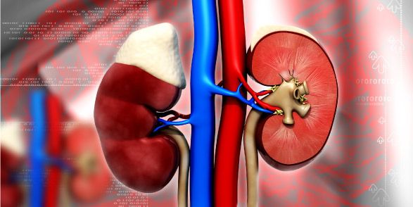 About Kidney Stone Treatment