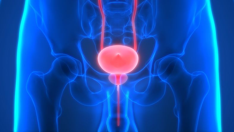 Enlarged Prostate Gland Treatment in Iran