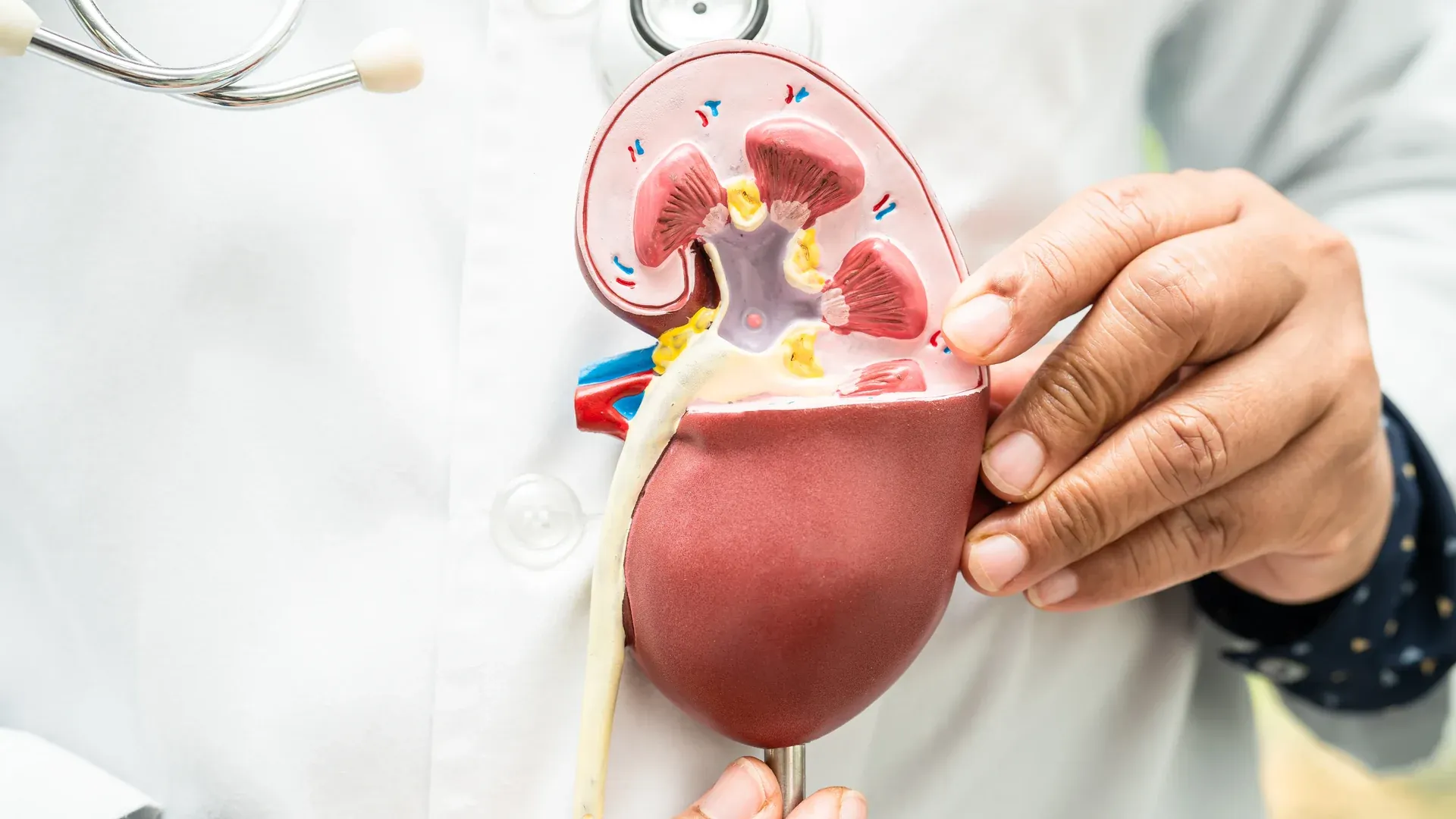 Signs of Kidney Failure 5