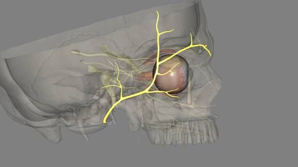 Cornea Transplant in Iran