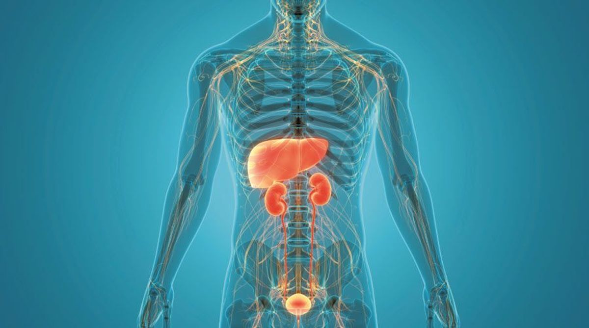 About Combined Liver-Kidney Transplant