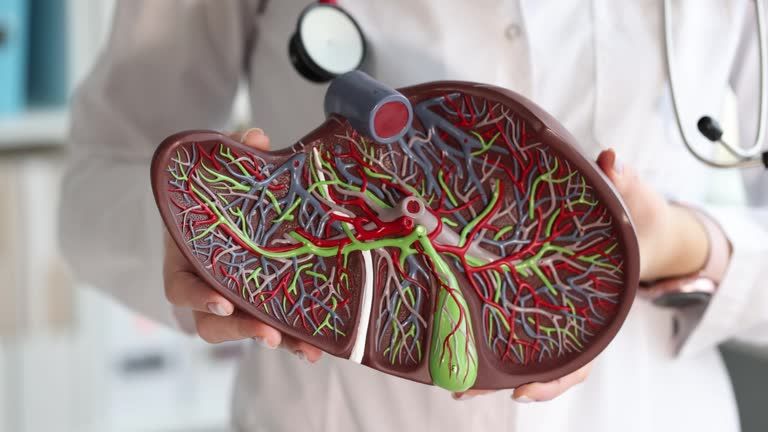 What is liver transplant?