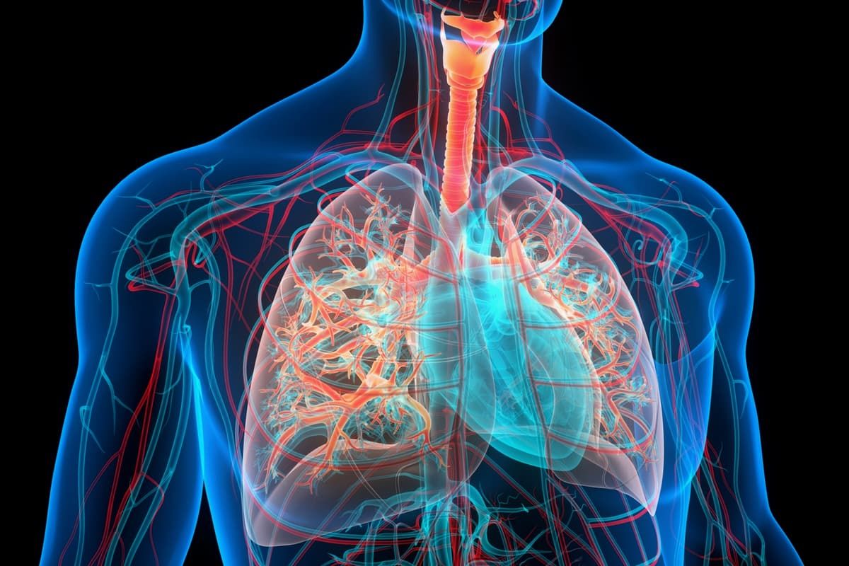 What is Lung Transplant?