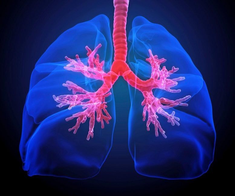 Why is Lung Transplant performed?