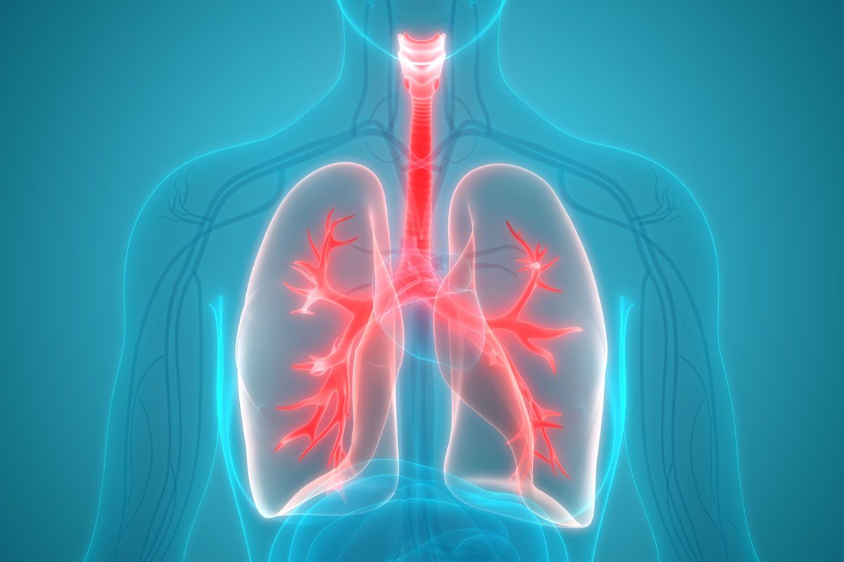 Types of Lung Transplant