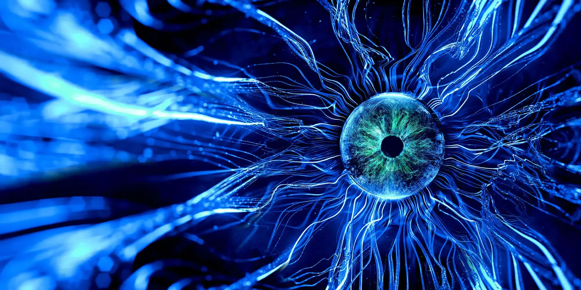 What is Neuro-ophthalmology?