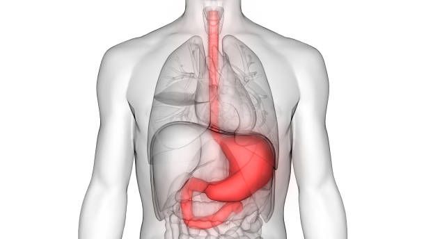 Esophagectomy procedure steps