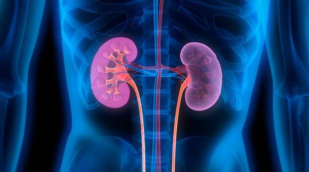 What are Nephrological Diseases?