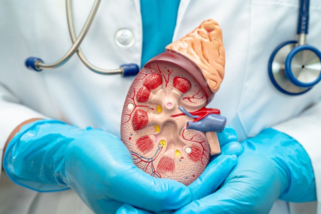 What is Nephrectomy?