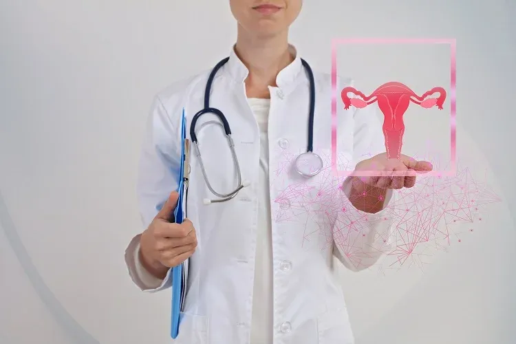 What is the Definition of Obstetrics & Gynecology?