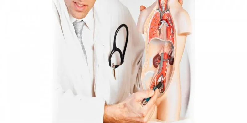 What are Urologic Diseases?