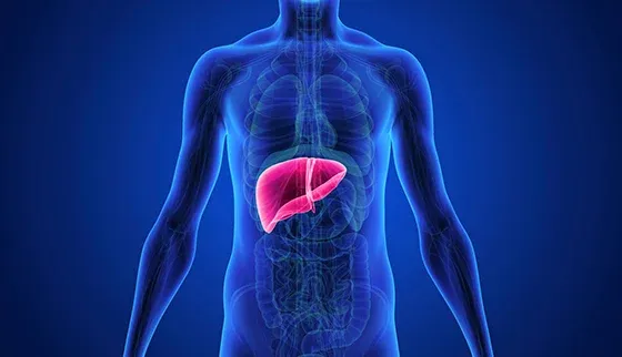 Liver Transplant: Criteria, Surgery, Procedure & Recovery