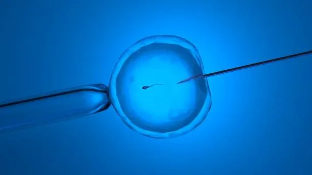 Gender Selection With IVF