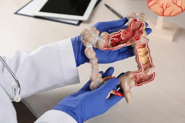 What does Gastroenterology involve?