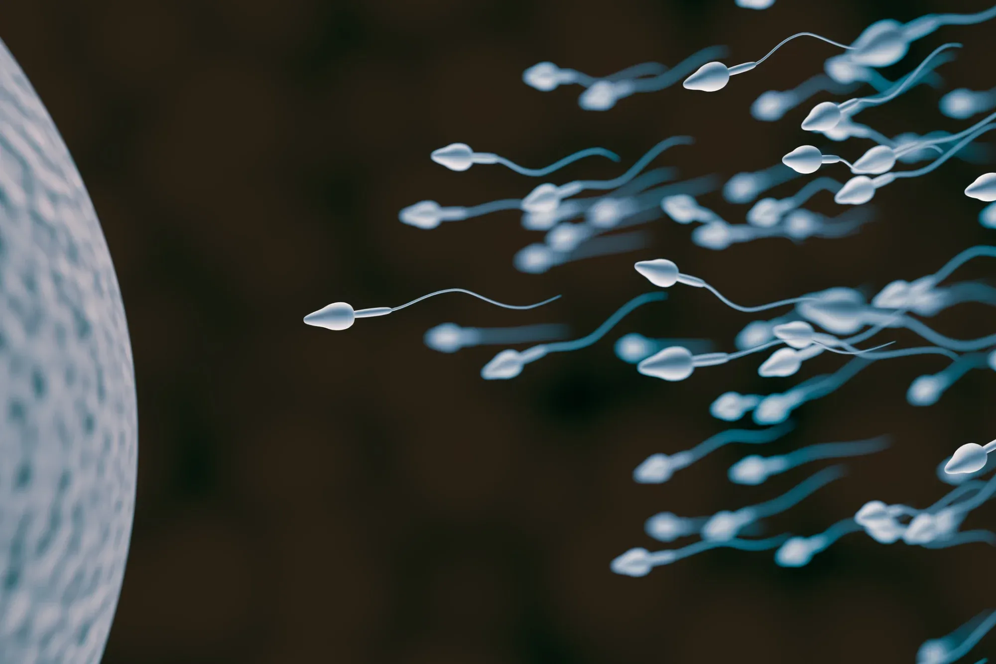 Male Infertility: Causes & Treatments