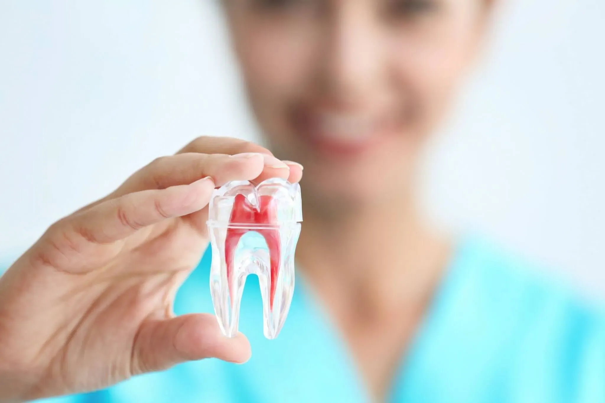 What is a Root Canal?