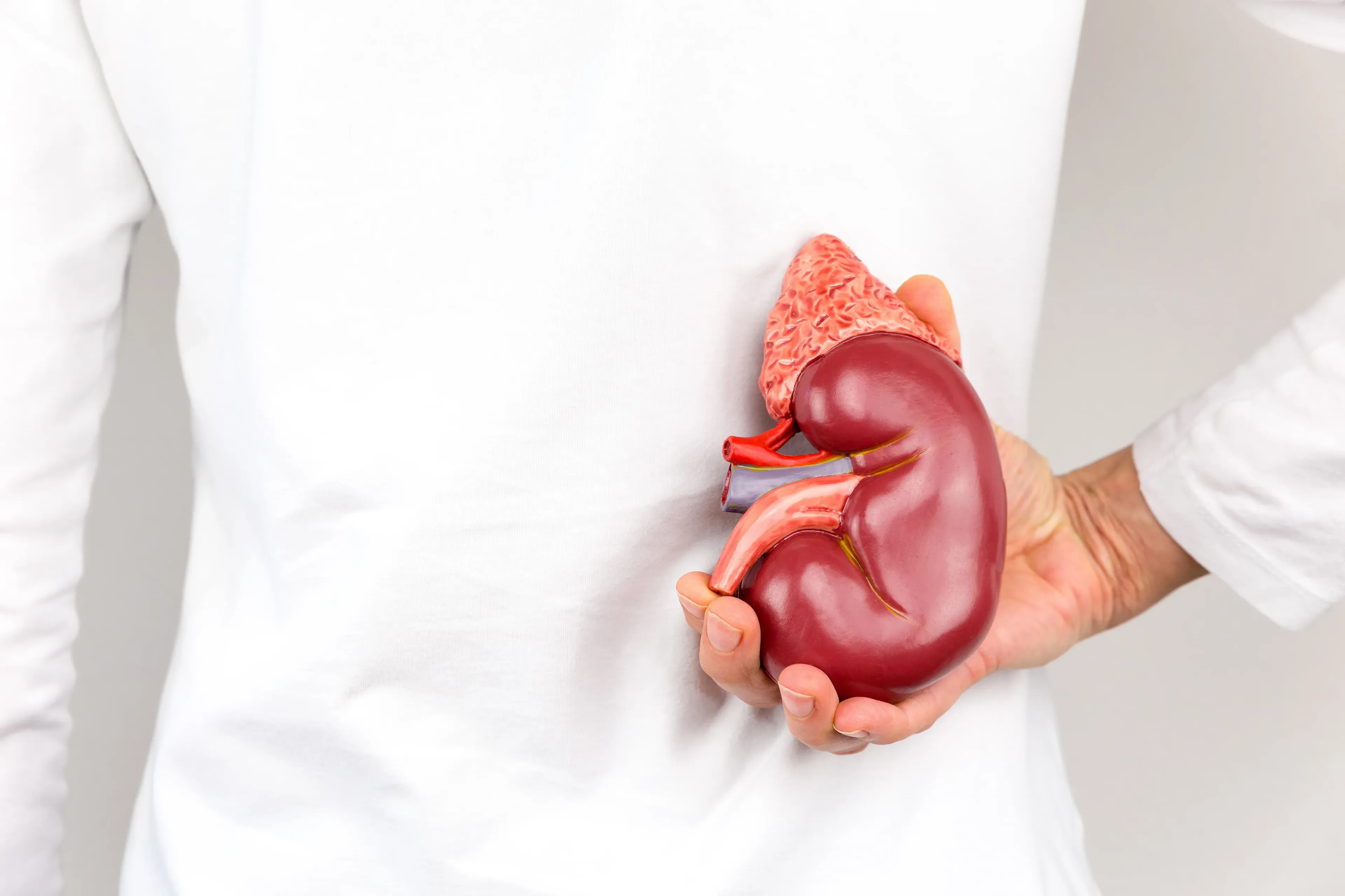 The Medical Conditions to have a kidney transplant