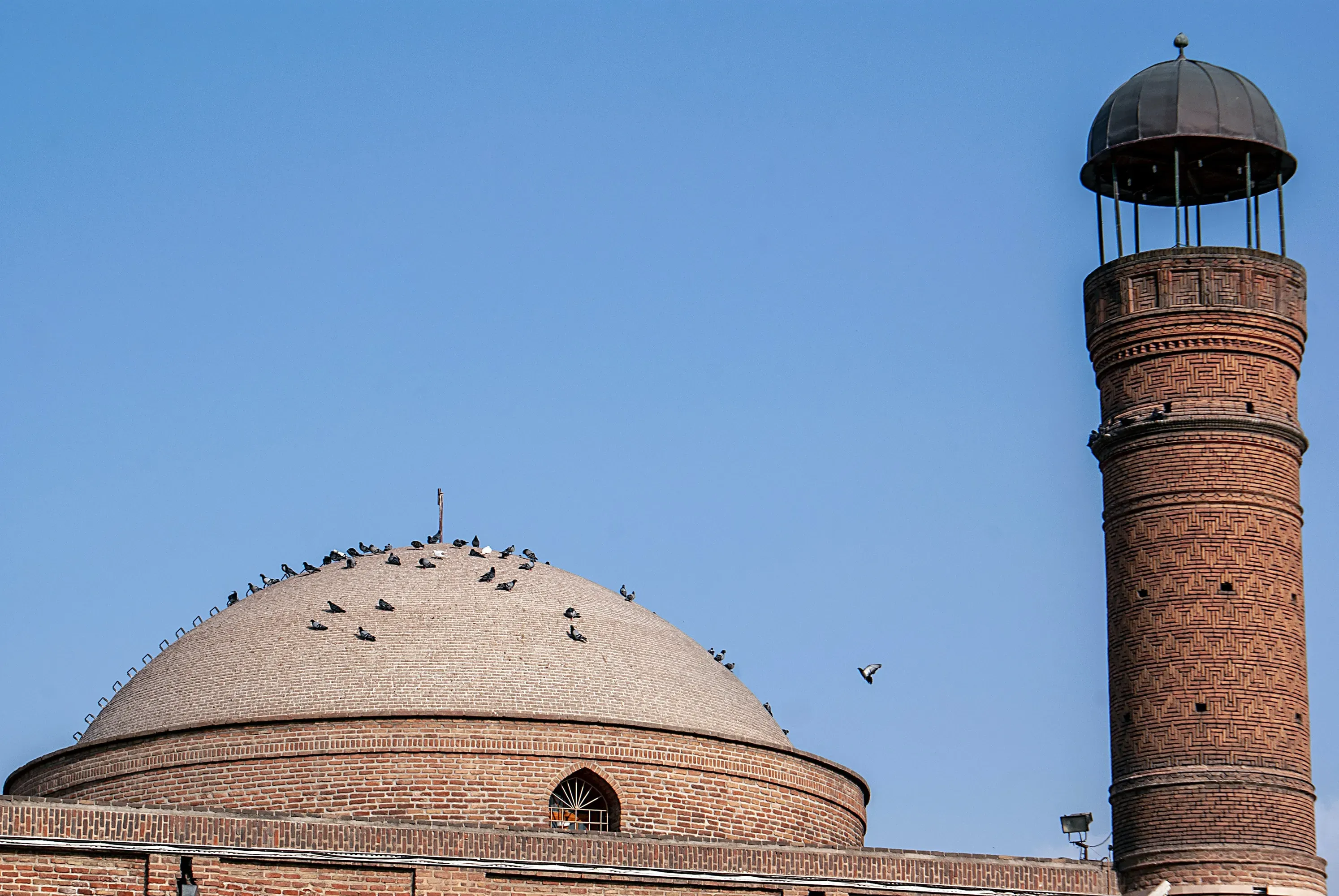 Tabriz Medical View