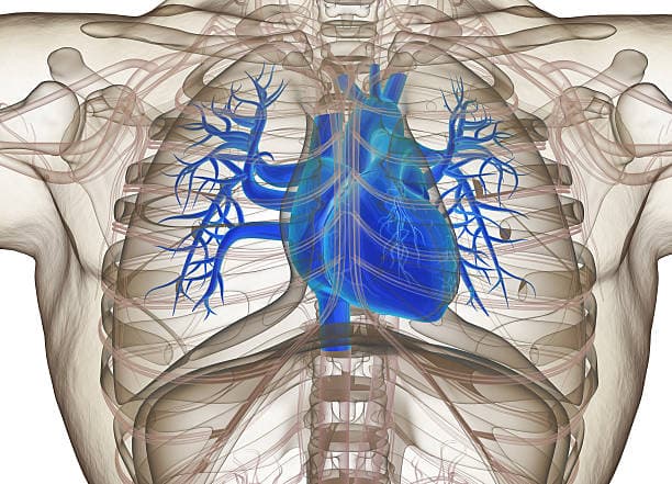 How to prepare for lung transplant?